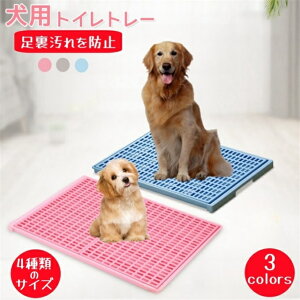 gCg[  ybggC X[p[Ch  gC t`ꂵɂ g[jO ybgg[  gCg[jO юUɂ ȒPւ q ^ ^ 