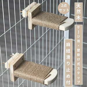 y2_ZbgzL P[WpXebv Ki tȒP LpXebv ܂Ƃ ؐXebv R ~ߕt ȃXy[X 2Zbg