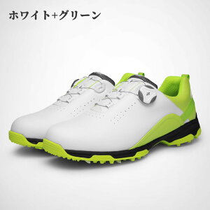 yz_C StXpCNX V[Y Y C Xj[J[ y L ₷ ₷ C[ RȂ V[X p[NSt X|[c StV[Y StV