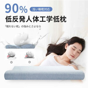 Ⴂ ɂ₳ ɕS Œ5cm Xg[glbN   ܂ 񂱂 ɂ ɂȂ zł܂ zŕی얍 h[ic  zŃT|[g  ObY N 