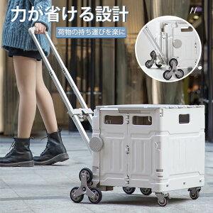 折りたたみキャリーカート ショッピングカート ふた キャリーカート コンテナ カート エコバッグ キャリー 台車 アウトドア レジャー スポーツ 運動会 耐荷重 キャスター付き 便利 荷台 蓋