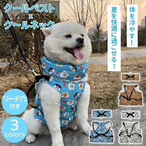 N[xXg ybgEFA pybgn[lX  N[EFA ܑۗΉ ЂObY [ht ybg pxXg L  ʋC nh hbOEGA MǑ΍ ĕ ⊴