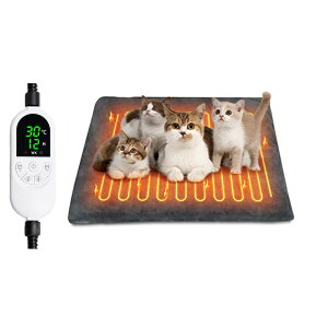 ybg zbgJ[ybg ^C}[ h ybgq[^[ L  ybgpzbgJ[ybg Jo[t dCq[^[ ybgdCѕz ȃGl Kix ^ybg  zbg}b