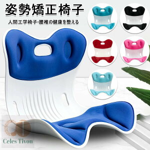 p ֎q 邾ɂȂȂNbV ItBX`FA/Q[`FA//֎qpNbV ՃT|[g`FA  ֎q y ^т₷ 120kg܂őΉ Kɂ₳