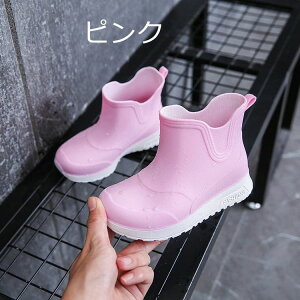 yX߁ztďH~ CV[Y LbY 킢 IV K[fjO Ԍ ~J΍ 䕗 ʋ ʊw Jp ʊw hh