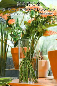  Ȃ ԕr  傫 ANȎ   } O[ CeA 20/25/30/40cm ^ 傫 Ԋ M