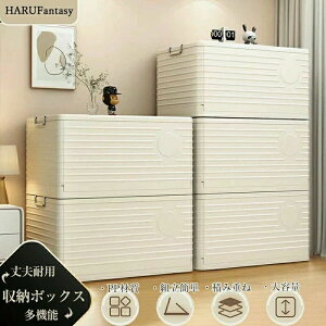 [{bNX ܂肽 ܏ LX^[t Lv Wt [P[X e [ gȒP ςݏd t^t Rei