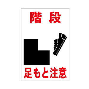 Ki ƒ R[TCpʔ SʔˁyOpR[EpCpWTCz ({gEibgEAbV[t)