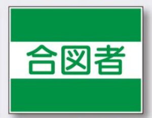 v[gS`bLp݃v[g 21g } TY-31C H[