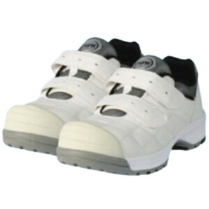 veNeBuXj[J[ DYPR-M }WbN zCg JSAA AF c 3416-W