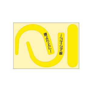 SуtbNpuXebJ[@uCG[@@891-YS