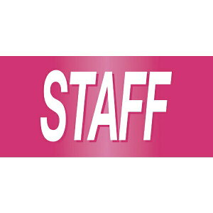 sXSr STAFFiԁj 95mm×r܂350mm LTCY 139615@{Ώ\