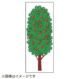 WCV[ t[cc[i 1000×400 914-12 jbg