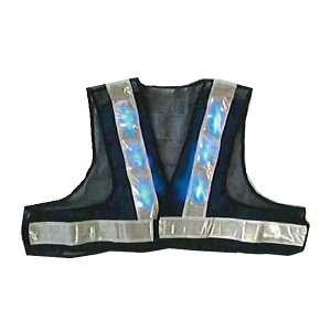 LEDSxXgEV[g@40cm@×@e[v60mm@4000mcd@LED12@LED-BW-B-S@G[X_