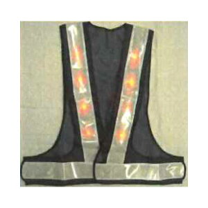 LEDSxXg@×@e[v60mm@14000mcd@LED16@LED-BW