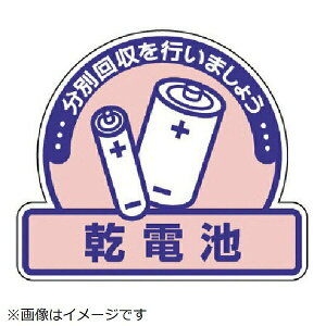 ʔpʃXebJ[ drE5gE115X133 822-65 jbg