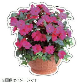 フォトジョイシール インパチェンス 430×400mm 915-77 ユニット
