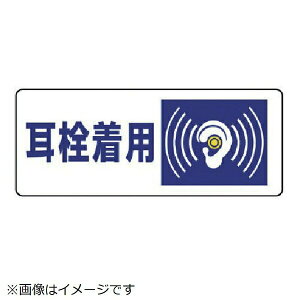 Ǘ敪W 𒅗pE5gE100X250 820-17 jbg