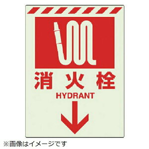 ~XebJ[ ΐ  831-09 jbg