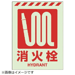 ~XebJ[ ΐ 831-11 jbg