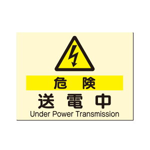 ~dCSW@댯@d@225×300@535-A