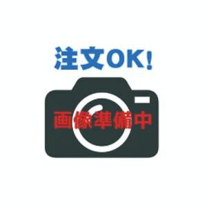 長谷川工業 ジッピー 3.9m延長セット JAS2.0-FS390 (16847) (高所作業台・足場) ※法人宛限定