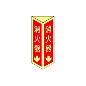 Ί큫@Op܋ȂW@250×90@2ʁ@DC10