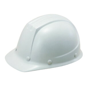 wbg 141O[v GACg yʃ^Cv ST#101-JPZ(EPA) J򐻍쏊 ^jU