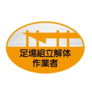 wbgpXebJ[@g̍Ǝҁ@35×60@˃XebJ[i101gjwXe@10@쏊