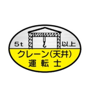 wbgpXebJ[@5tȏN[(V)^]m@35×60@˃XebJ[i101gjwXe@75(C)@쏊