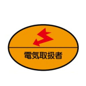 wbgpXebJ[@dC戵ҁ@35×60@˃XebJ[i101gjwXe@79@쏊