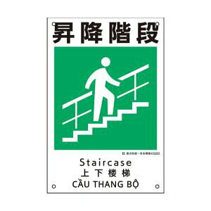 ЖhSW@~Ki@KS20@450×300mm@081020 {Ώ\