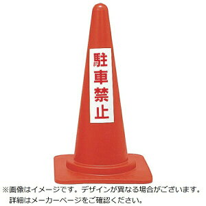 ԋ֎~pJ[R[@ԋ֎~@RC-4@700mm@116040@{Ώ\