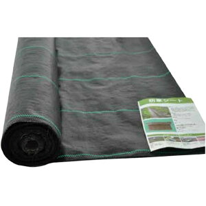 hV[g 1m×50m  KMlNXg