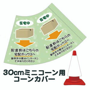 30cmpR[Jo[ uݑ zB͂̑z{bNXցv J[R[pW ECX΍yOpR[EpCpWTCz