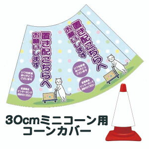 30cmpR[Jo[ uz{bNXւ肢܂v J[R[pW ECX΍yOpR[EpCpWTCz