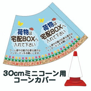 30cmpR[Jo[ uו͑zBOX֓ĉ N[ւӂKvȏꍇ́`v J[R[pW ECX΍yOpR[EpCpWTCz