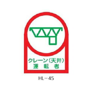 wbgpXebJ[ N[(V)^] 35×25mm 101g Ώ\ HL-45 233045