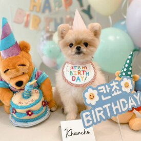 犬用スタイ 誕生日 犬 猫 ハッピーバースデー わんこ お祝い 写真 撮影 コスプレ 洋服 可愛い ペットグッズ 小型犬 スタイ 首掛け 犬用品 1000円ポッキリ