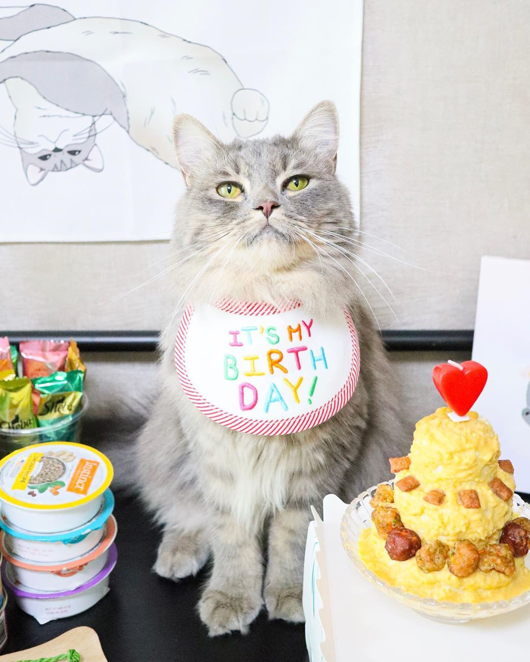 猫 誕生日 スタイ - 猫服・アクセサリー