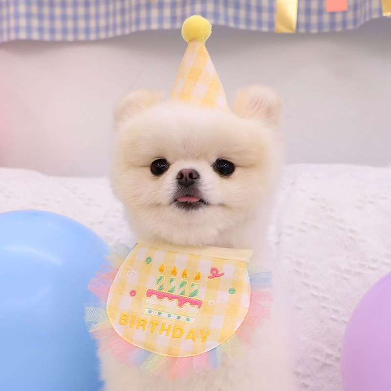 楽天市場】犬 誕生日 バースデイ スタイ ペット 猫 帽子 ハッピーバー