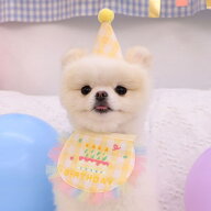 犬 誕生日 バースデイ スタイ ペット 猫 帽子 ハッピーバー わんこ お祝い 写真 撮影 コスプレ 洋服 可愛…