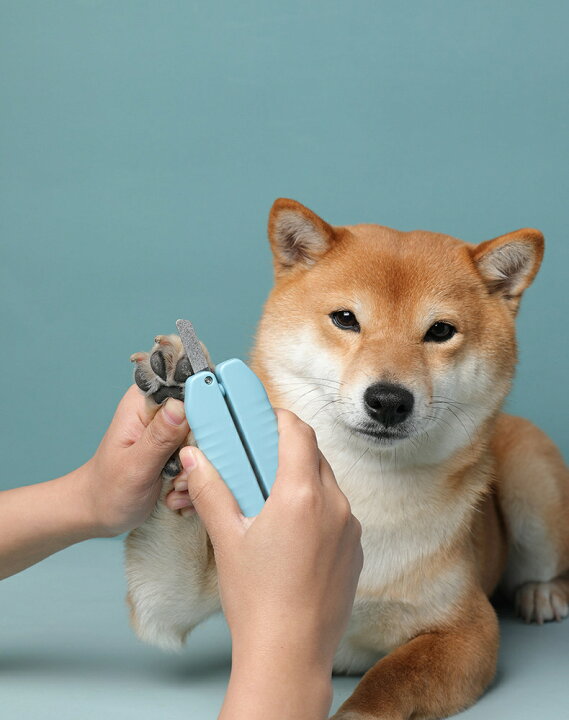 WeinaBingo ペット用爪切り ネイルトリマー ギロチンタイプ 爪切り 猫用 犬用 (レッド)