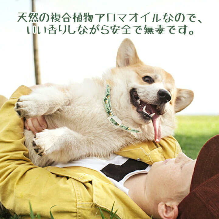 楽天市場 ペット用 蚊よけ ノミ取り首輪 虫除け 首輪 蚊除け対策 天然ハーブ 蚊除け 春 夏 丸洗い可能 犬猫兼用 取り付け簡単 安全的 無毒 可愛い 送料無料 Runelves