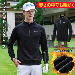  Y St |Vc t H ~ StEFA gbvX St Y 40 50 60 jpStEFA  ʋC  Xgb`