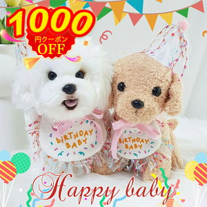 yň1000~N[|pŁzpX^C a  L Xq nbs[o[Xf[  j ʐ^ Be RXv m  ybgObY ^ X^C | pi