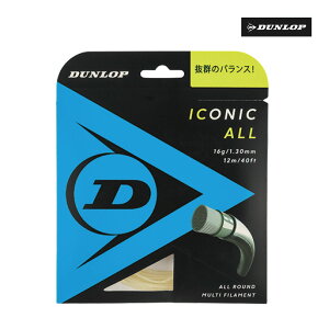 �y6/13�`6/15����ő�1500�~�I�t�N�[�|���z�y�|�X�g�����Ή��zDUNLOP�@ICONIC ALL�@DST31001�@�i�`�������@�P���@�d���e�j�X�@�X�g�����O�@�K�b�g�@�_�����b�v�@�A�C�R�j�b�N�E�I�[��