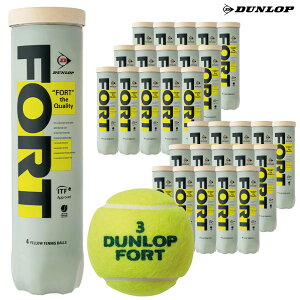 �_�����b�v �t�H�[�g4 DUNLOP FORT4 1�� 30�� 120���� �d�� �e�j�X�{�[�� ���g�p��
