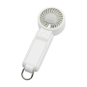 _10OFFN[|LI11^2^nfBt@ pv[g 啗 É 5Way 莝 񂩂  X^h p[h 4iK @ nfB ^  p [d gѐ@ 