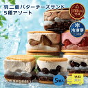 ＼SNSで話題＆TVで紹介／ RUNNYCHEESE 羽二重5種アソート 5個 公式 送料無料 冷凍 | ラニーチーズ バターサンド スイ…